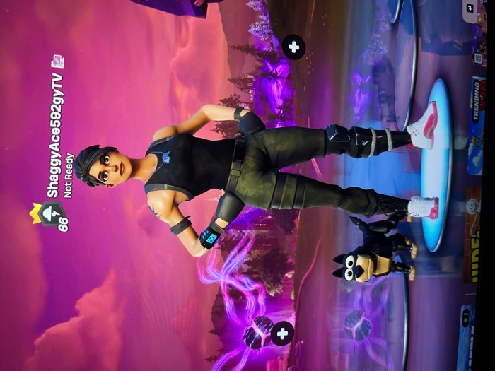 ShaggyAce Fortnite character